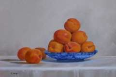 Apricots on Blue Dish