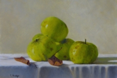 Christine Hodges Windfall Apples