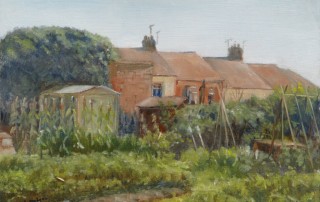Canalside Allotments Warwick Christine Hodges